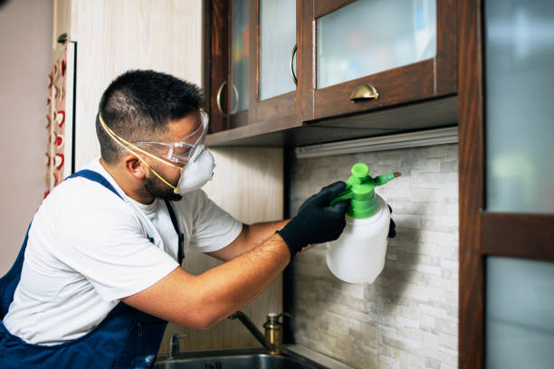 Best Pest Removal Services  in Stony Prairie, OH