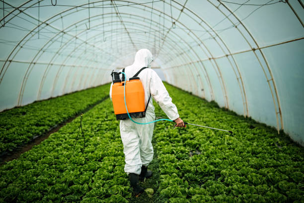 Best Affordable Pest Control Services  in Stony Prairie, OH