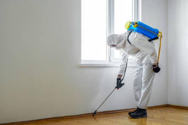 Best Pest Inspection Near Me  in Stony Prairie, OH
