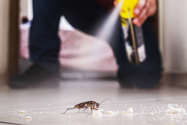 Best Pest Control Near Me in Stony Prairie, OH